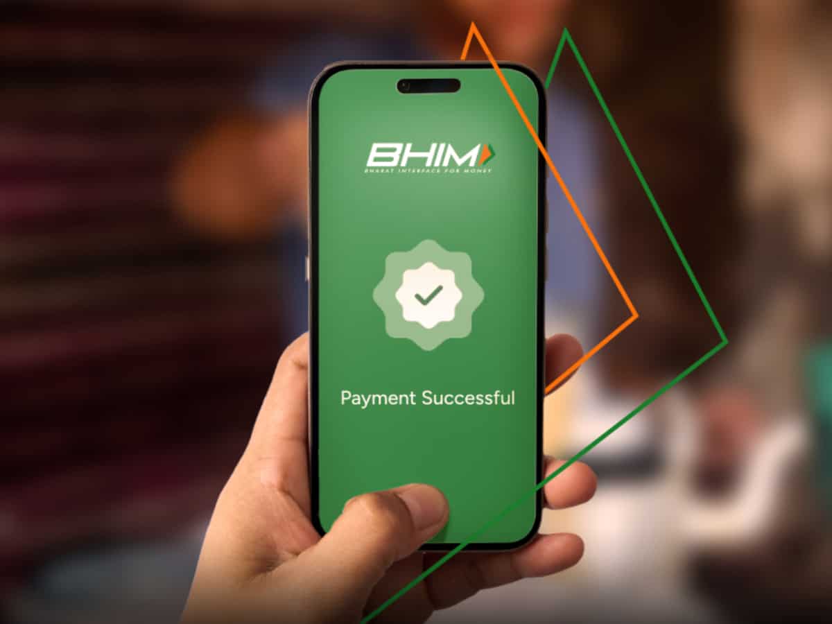 आपके UPI ID से फैमिली का कोई मेंबर कर पाएगा पेमेंट! BHIM ने कस्टमर्स के लिए लॉन्च कर दिया ये खास फीचर