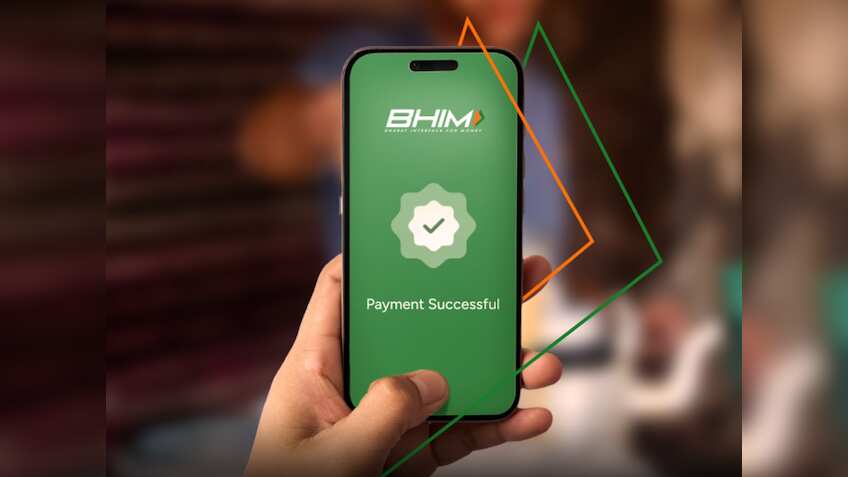 आपके UPI ID से फैमिली का कोई मेंबर कर पाएगा पेमेंट! BHIM ने कस्टमर्स के ...