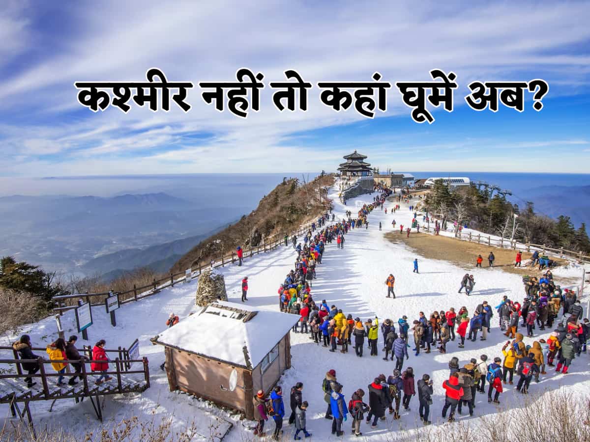 कश्मीर नहीं!!!!अब कहां इस गर्मी की छुट्टी गुजारें,ये रहे 10 कूल फीलिंग वाले ऑप्शन, नजारे देख कहेंगे 'भाई वाह'