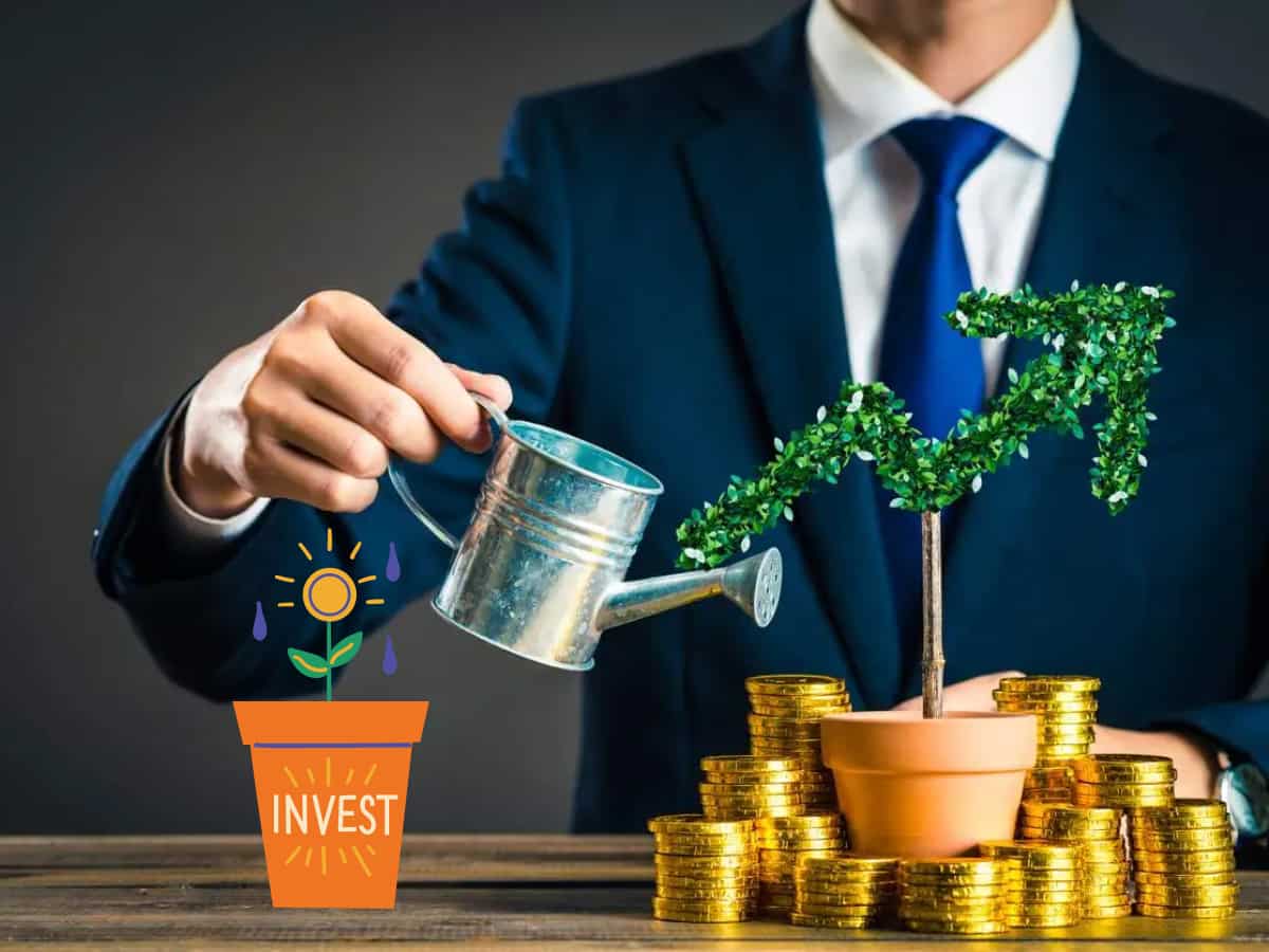 बाजार में शुरू हुई रिकवरी के वक्त किस तरह के म्यूचुअल फंड हैं बेस्ट? Sectoral और Thematic Funds के बीच समझें अंतर