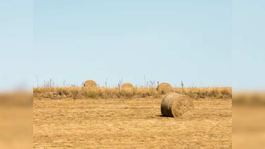 Sarkari Yojana: स्ट्रॉ रीपर और स्ट्रॉ बेलर मशीन पर मिलेगी 50% तक सब्सिडी, फटाफट उठाएं फायदा