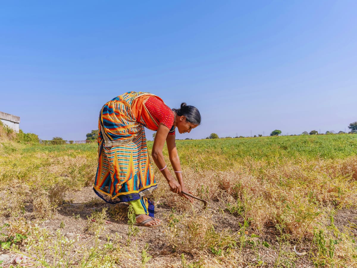 जमीन के रिकॉर्ड अपडेट होना