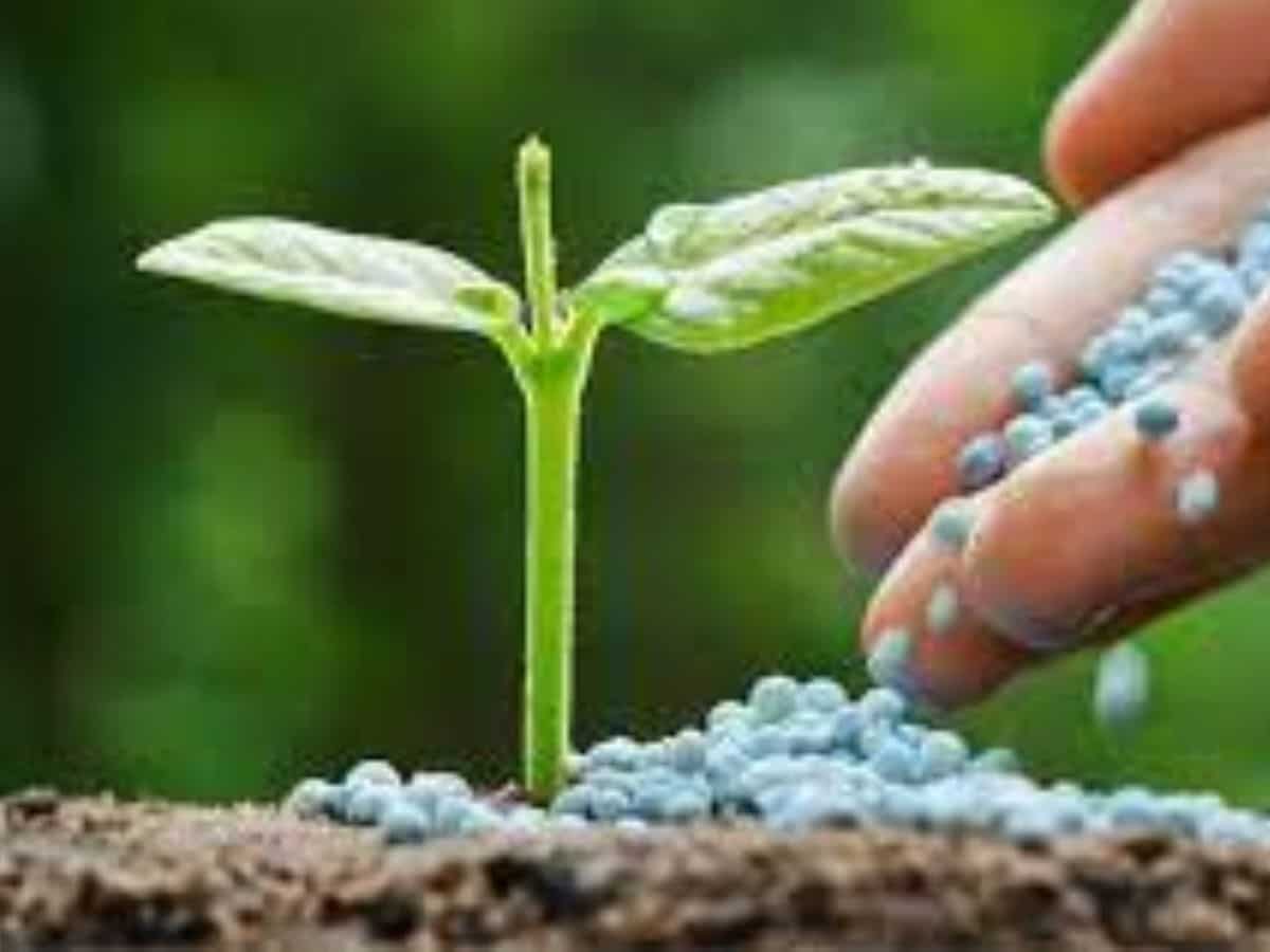 प्राकृतिक खेती को बढ़ावा देने की जरूरत, किसानों को चाहिए सरकारी प्रोत्साहन: कृषि सचिव