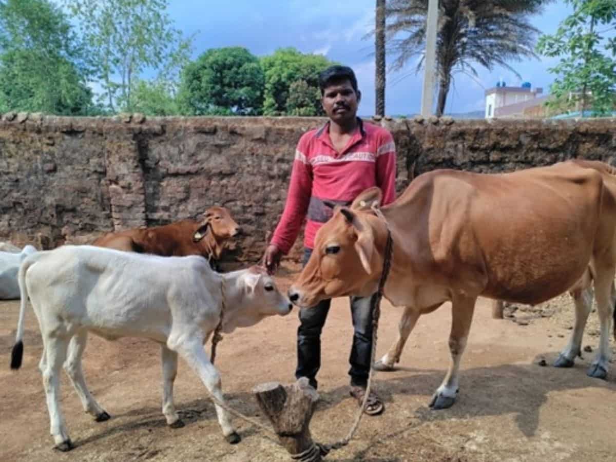 Success Story: सरकारी मदद से शुरू किया गौपालन, अब दूध बेचकर हर महीने ₹30 हजार कमा रहा ये शख्स