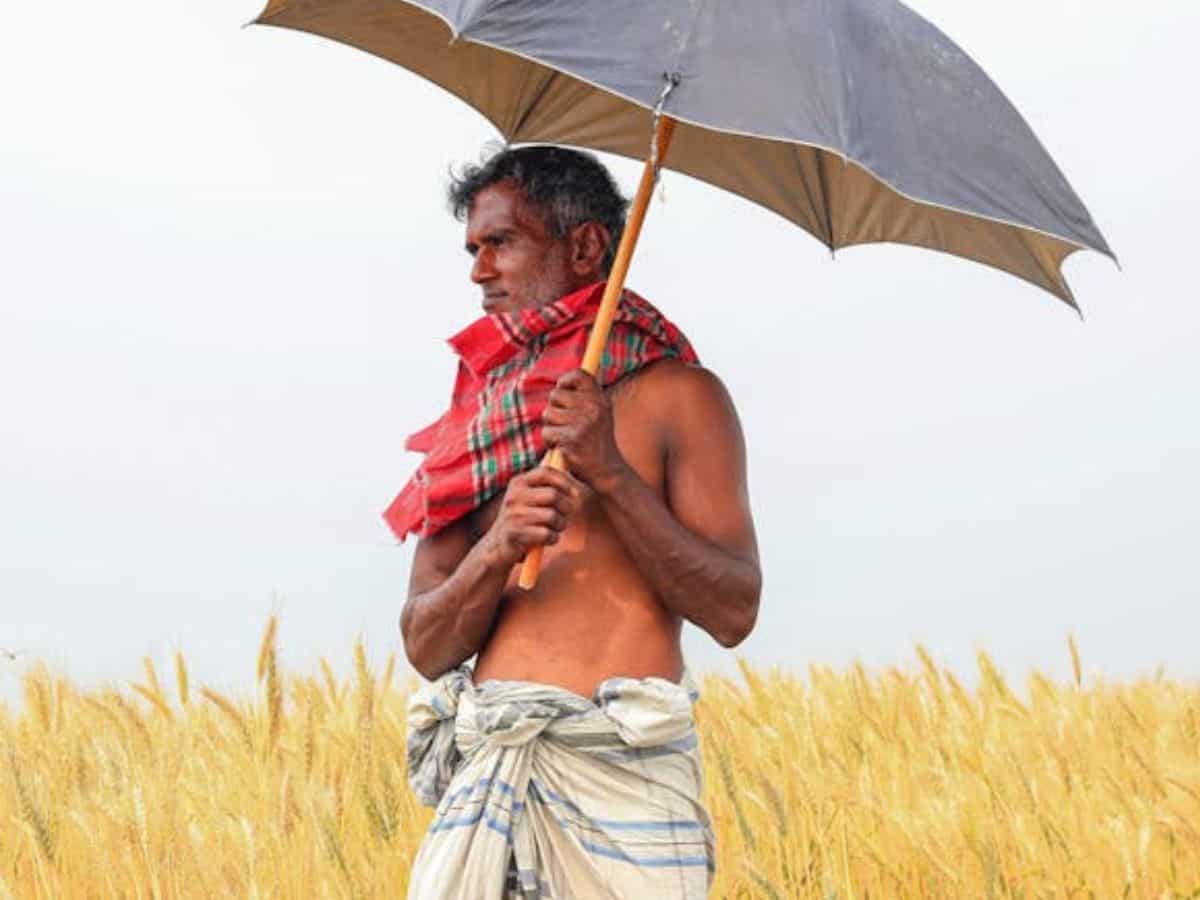 MP में किसानों को बड़ी राहत! 9 मई तक मिलेगा गेहूं बेचने का मौका, गेहूं खरीद 85 लाख मीट्रिक टन पहुंचने का अनुमान