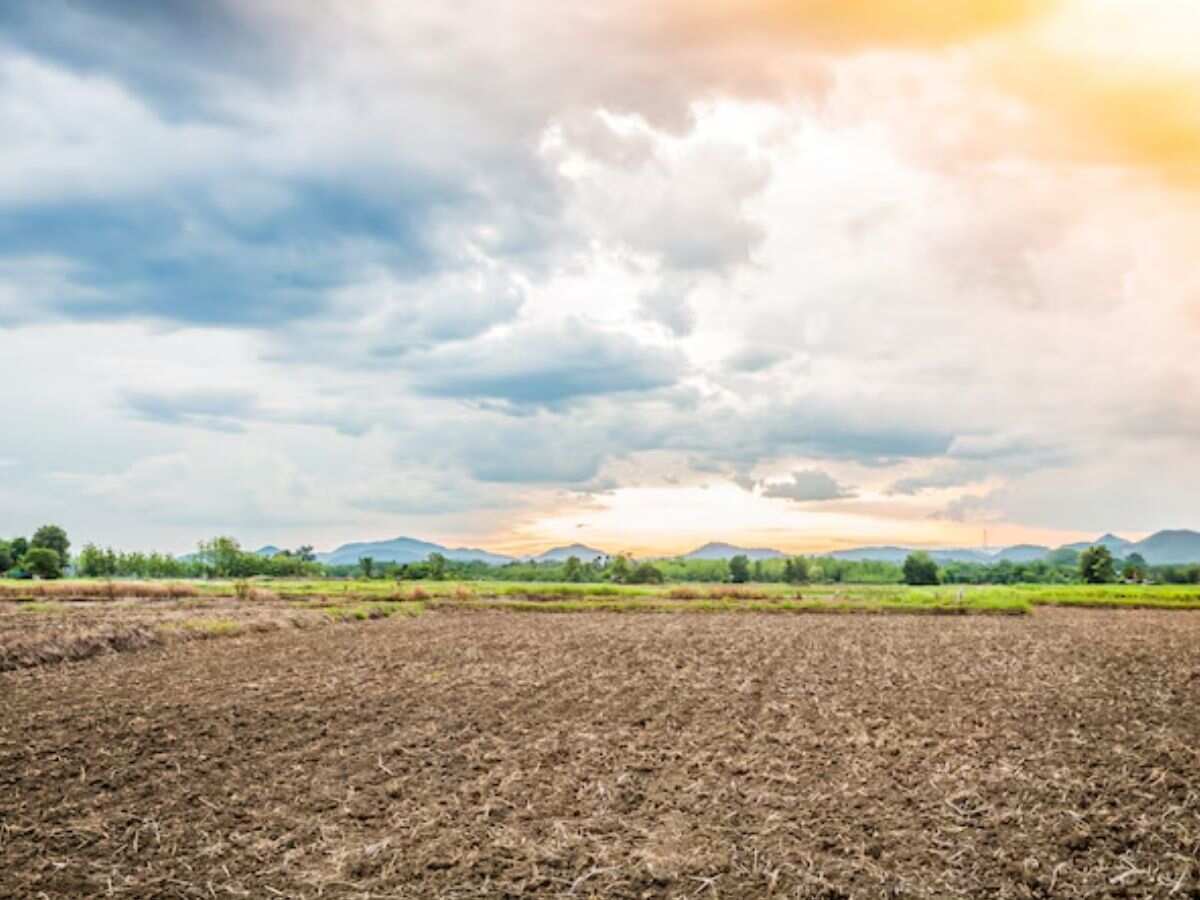 किसानों के लिए जरूरी सलाह, पैदावार बढ़ाने के लिए मानसून से पहले करें ये काम