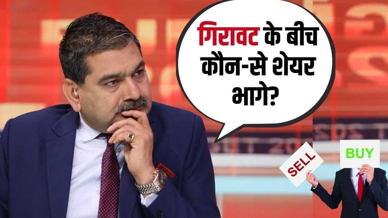गिरावट के बीच कौन-से शेयर भागे? जानें किन सेक्टर्स पर फोकस करना हो सकता है सही