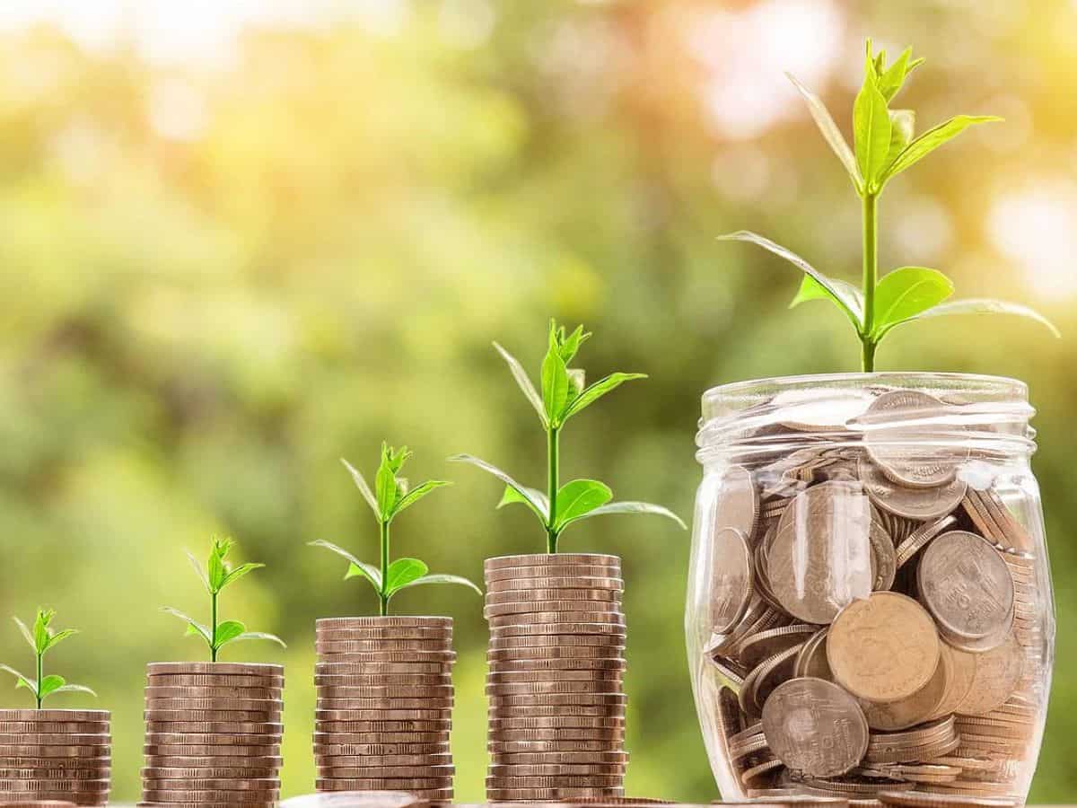 Quant Flexi Cap Fund 