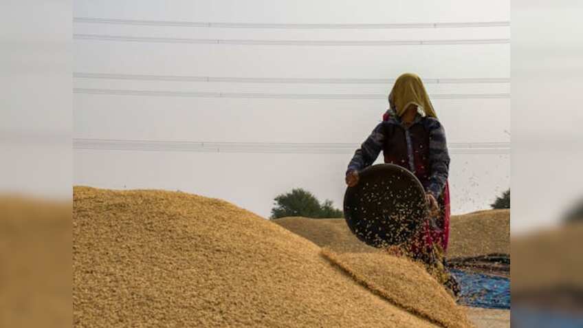 Wheat Procurement: सरकारी गेहूं खरीद ने बनाया रिकॉर्ड, पार किया 2.86 करोड़ टन का आंकड़ा, पिछले साल से ज्यादा