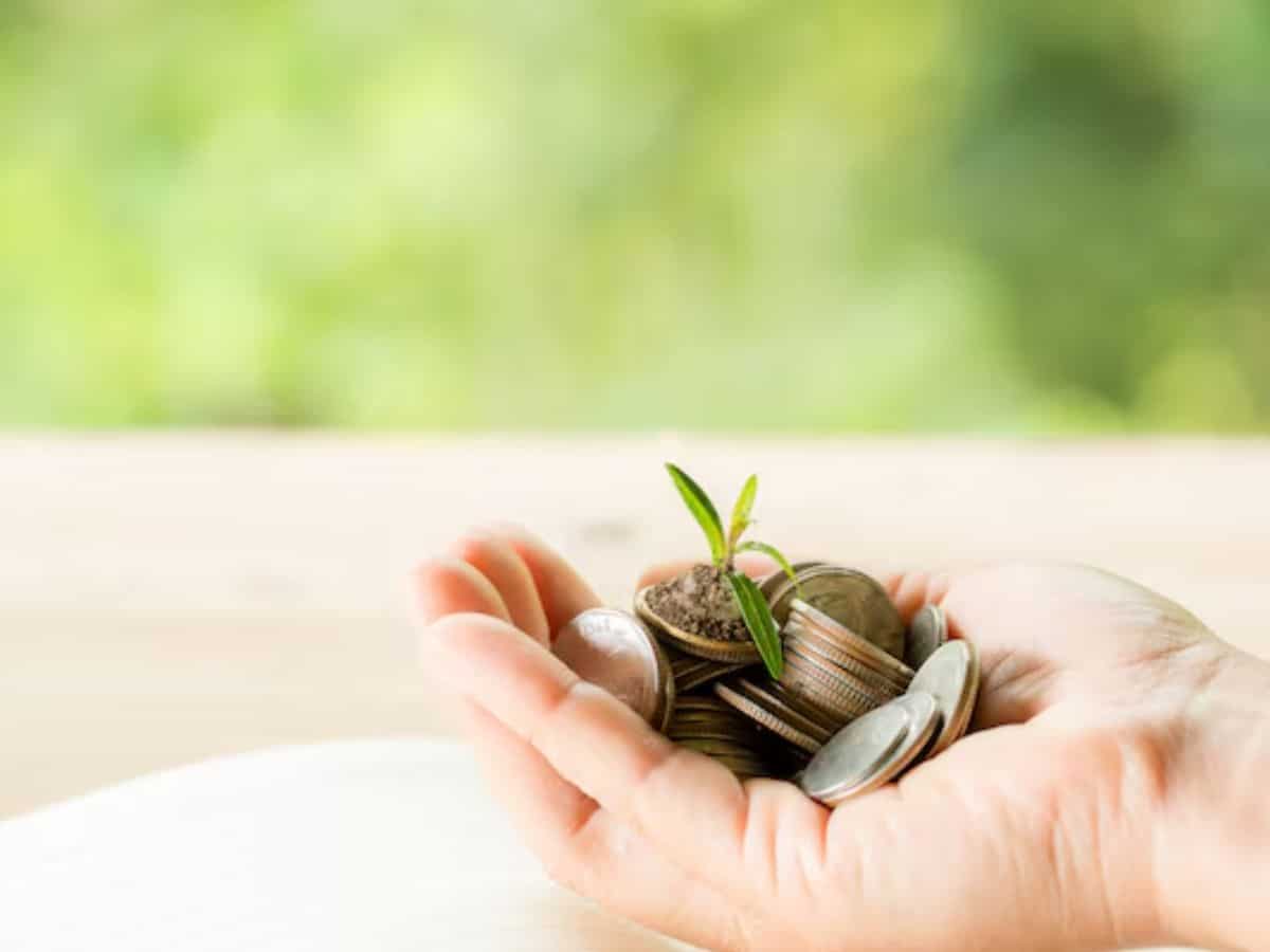 इस फंड में किसे करना चाहिए निवेश?