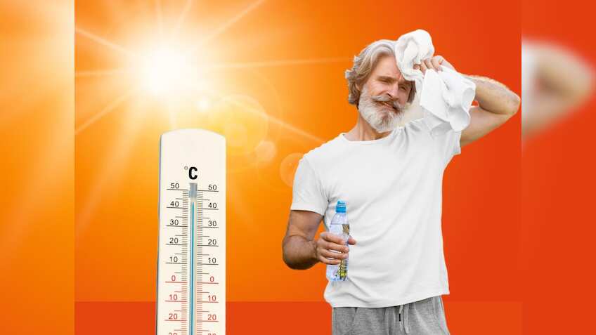 नौतपा शुरू होते ही गर्मी दिखाएगी प्रचंड रूप, बीमार होने से बचना है तो ऐसे हाइड्रेट रखें शरीर और बरतें ये सावधानियां