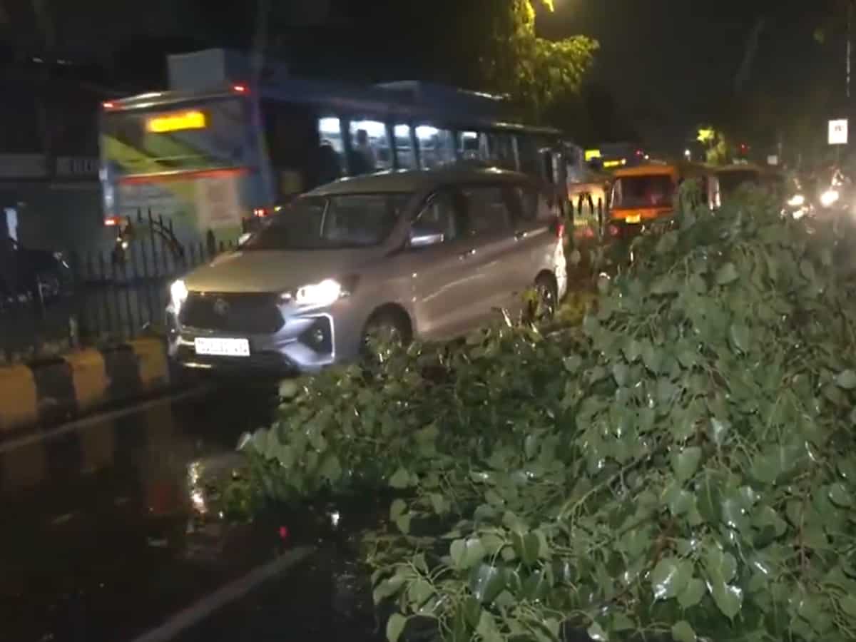 Delhi-NCR में अचानक बिगड़ा मौसम, आंधी-तूफान के साथ तेज बारिश, ओले भी गिरे, उखड़ गए पेड़