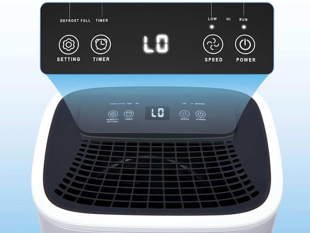 सीलन, फफूंदी को करता है कम