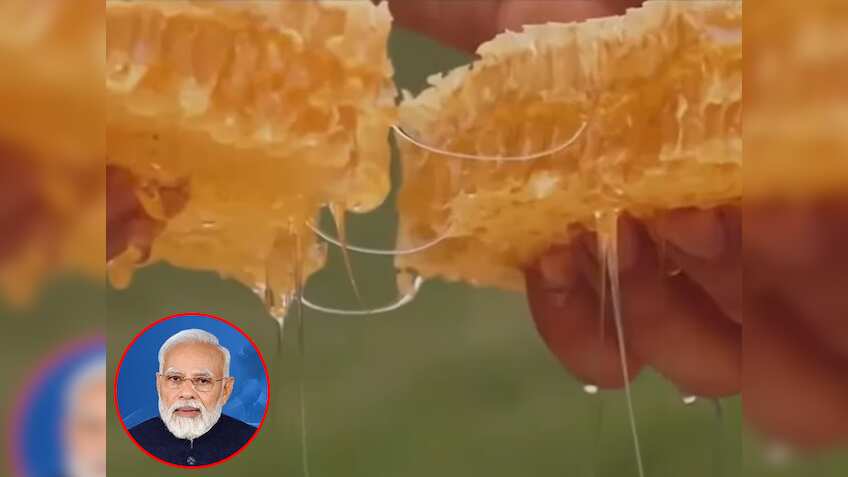 तेजी से बढ़ रहे शहद प्रोडक्शन से खुश हैं पीएम मोदी, बोले- 'मधुमक्खी पालन में भारत में 'स्वीट रिवॉल्यूशन' हुआ'