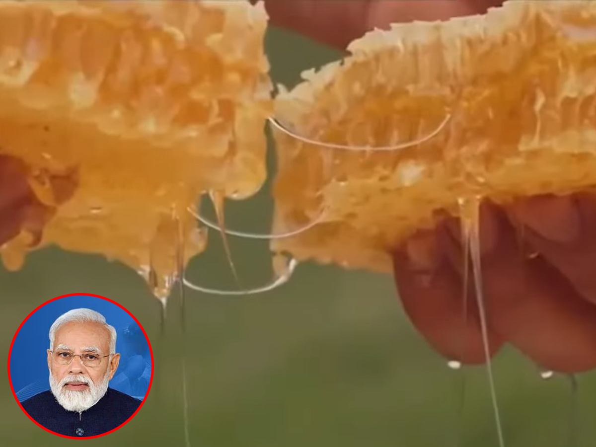 तेजी से बढ़ रहे शहद प्रोडक्शन से खुश हैं पीएम मोदी, बोले- 'मधुमक्खी पालन में भारत में 'स्वीट रिवॉल्यूशन' हुआ'