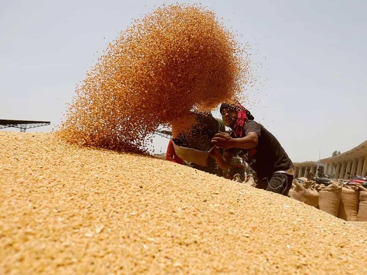MSP पर गेहूं खरीद का बंपर रिकॉर्ड,29.7 मिलियन टन के पार,312 लाख टन खरीद का टारगेट