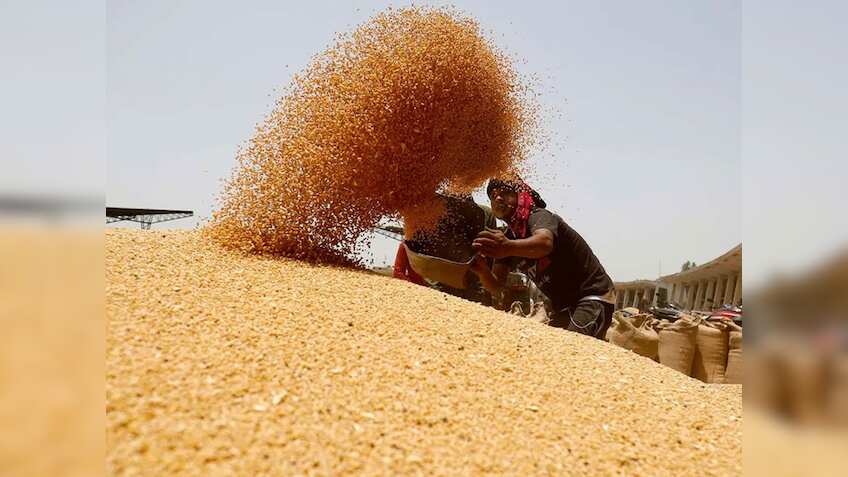 MSP पर गेहूं खरीद का बंपर रिकॉर्ड,29.7 मिलियन टन के पार,312 लाख टन खरीद का टारगेट