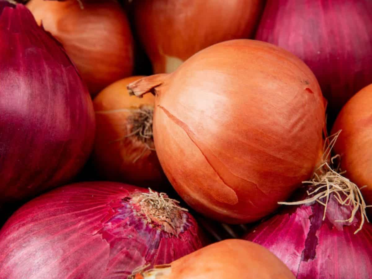 सस्ते में मिलेगा बीज