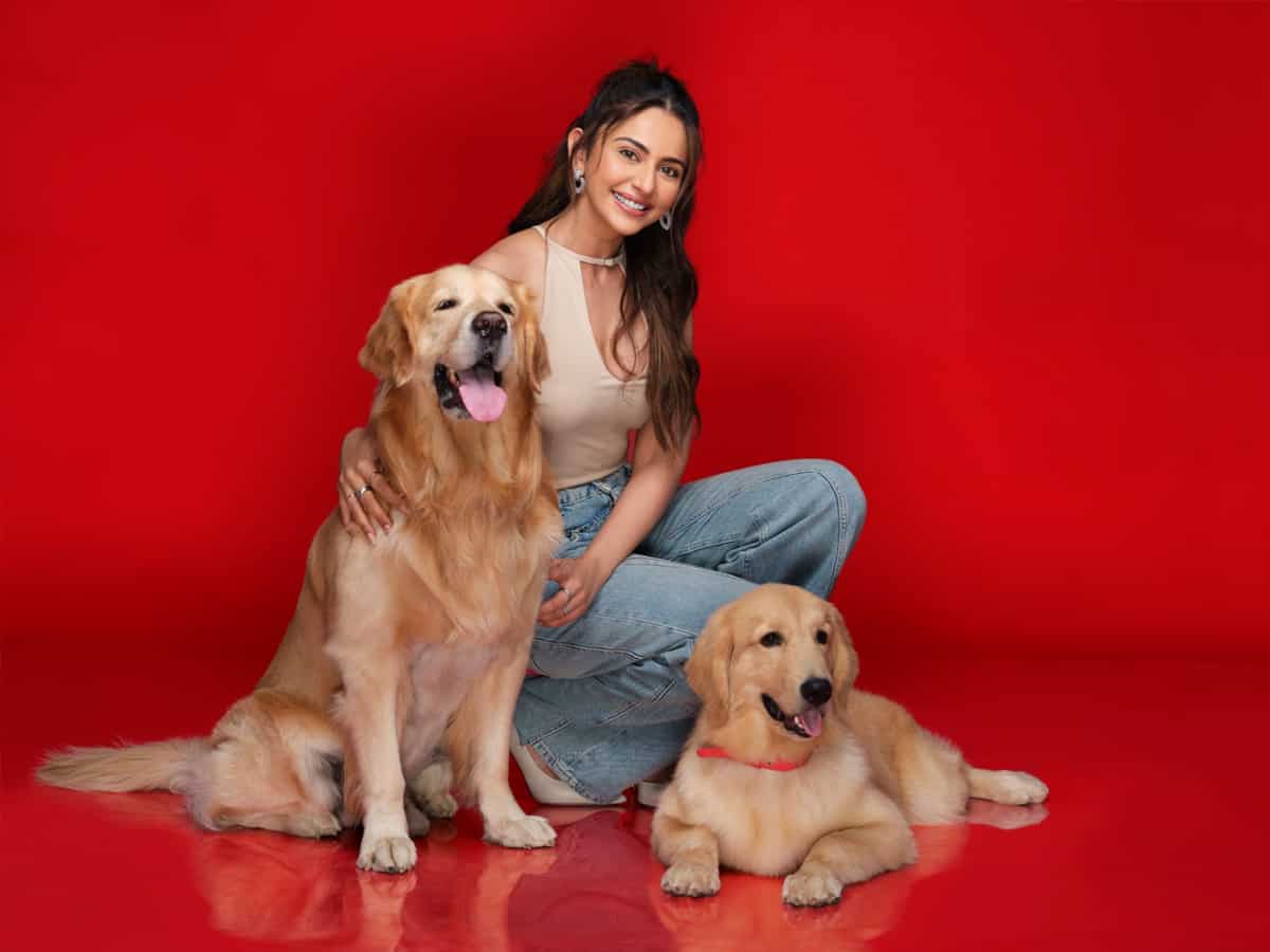 ये Startup बना भारत का पहला Pet Food Unicorn, करीना कपूर से लेकर रकुल प्रीत तक बने इसके ब्रांड अंबेसडर!