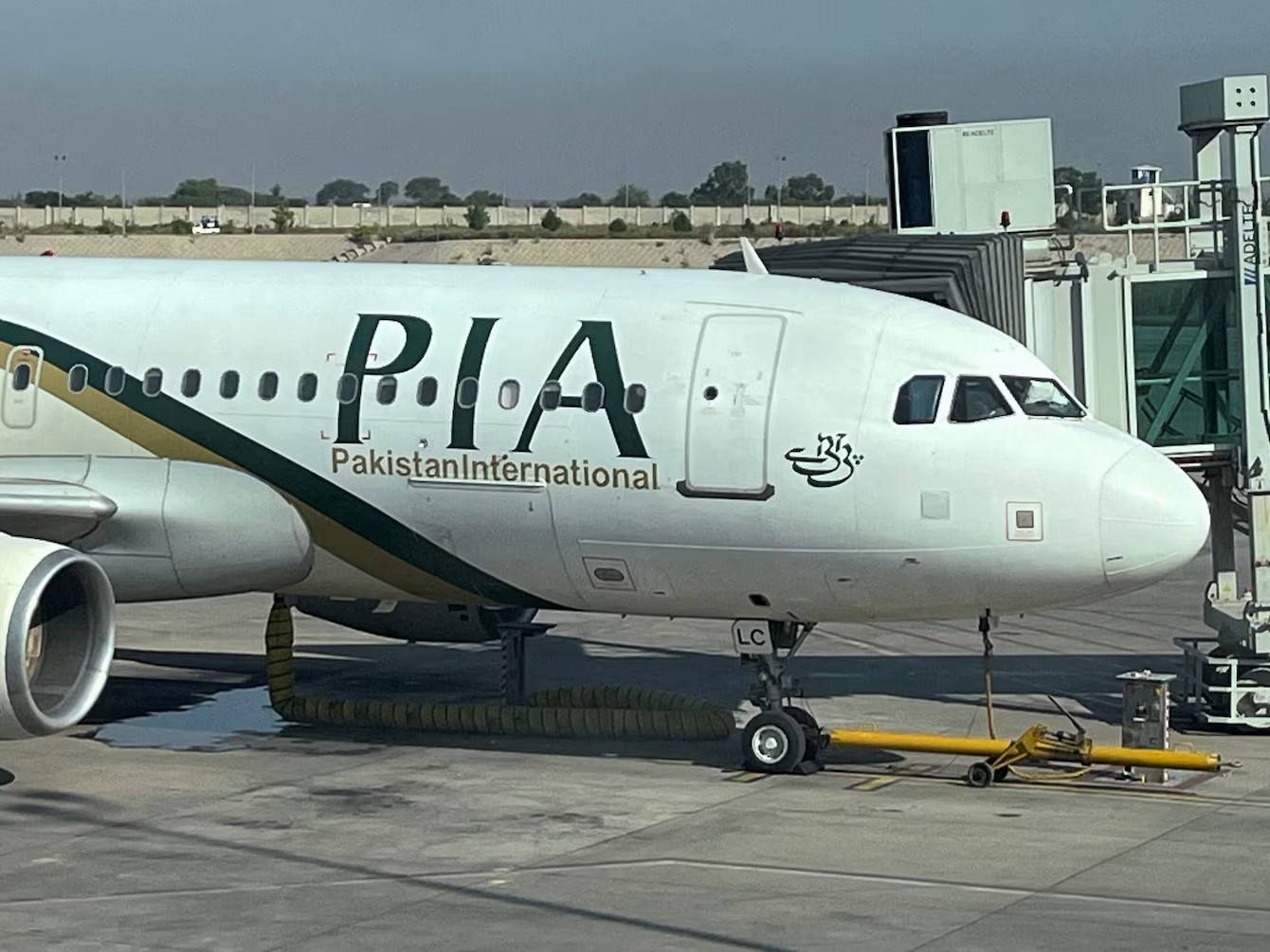 कौड़ियों के भाव भी नहीं बिक रही पाकिस्तान की नेशनल एयरलाइन! सरकार को फिर से आगे बढ़ानी पड़ी डेडलाइन