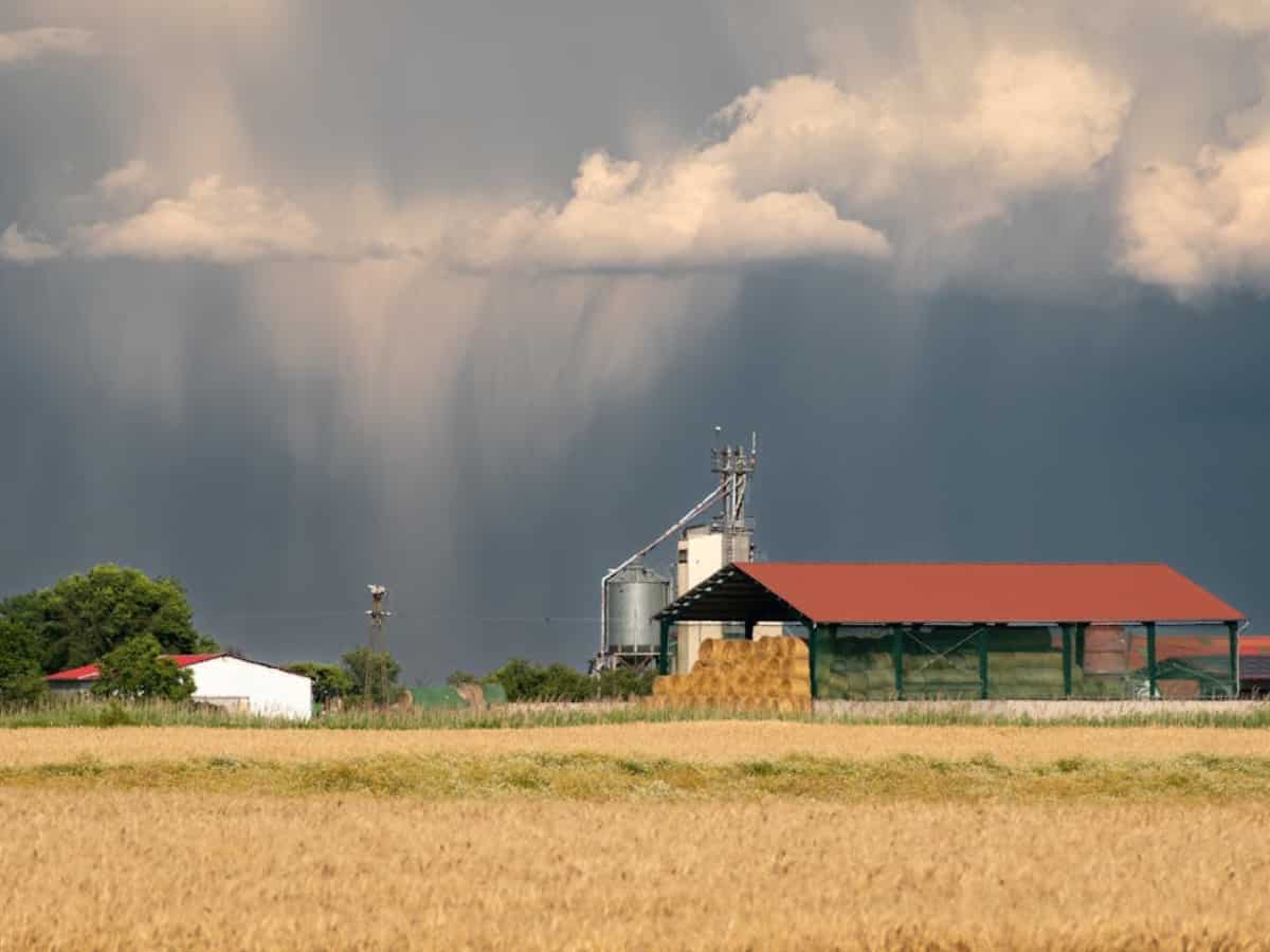 अच्छे मानसून से लगेगी महंगाई पर लगाम! क्रिसिल की रिपोर्ट में एग्री प्रोडक्ट्स को लेकर आई अच्छी खबर