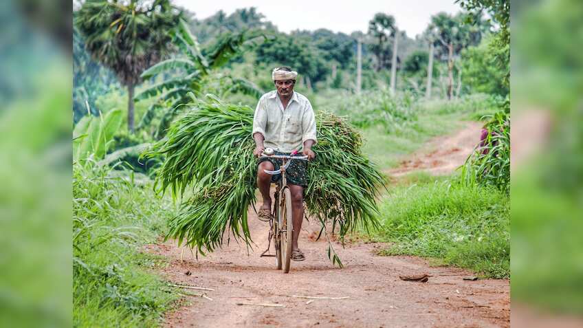 लाखों किसानों के लिए गुड न्यूज! कैबिनेट ने खरीफ फसलों पर बढ़ाई MSP, किसान क्रेडिट कार्ड पर भी बड़ा ऐलान