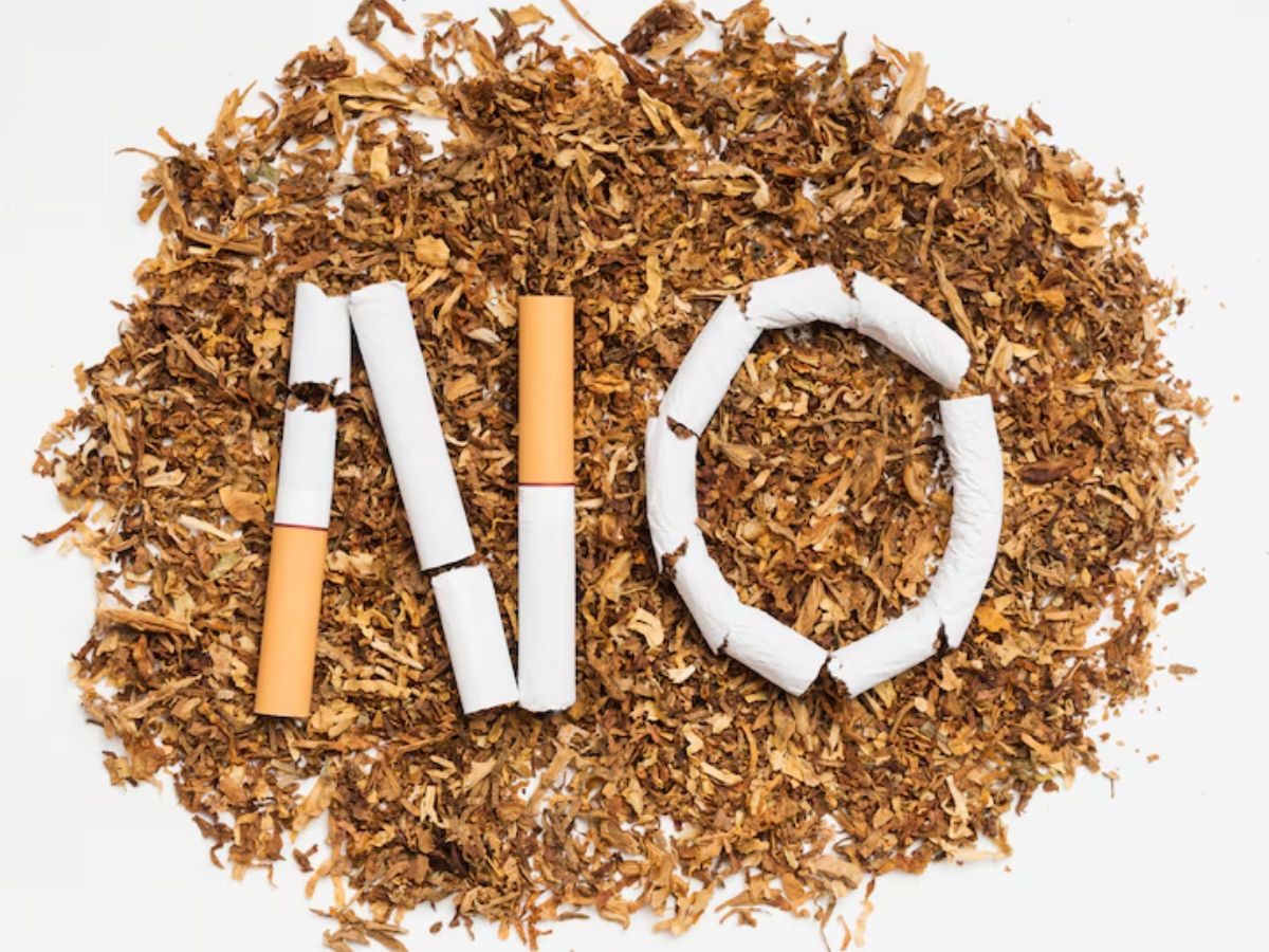World No Tobacco Day 2025: तंबाकू का नशा कैसे इंसान को बना लेता है अपना गुलाम? कैसे करें इस आदत को कंट्रोल!