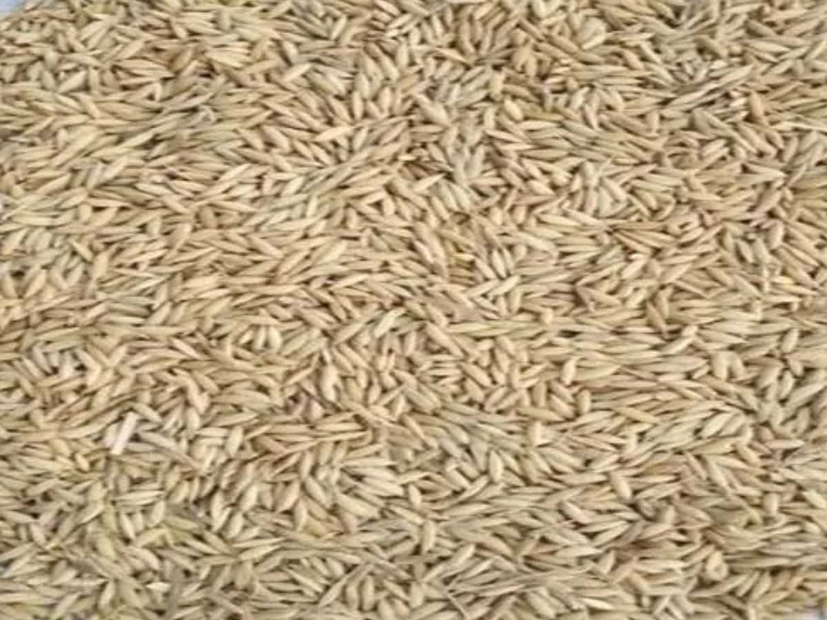 बिहार के इस सुगंधित चावल की दुनिया है दीवानी, अब ज्यादा पैदावार के लिए किसानों को मिलेगा अनुदान