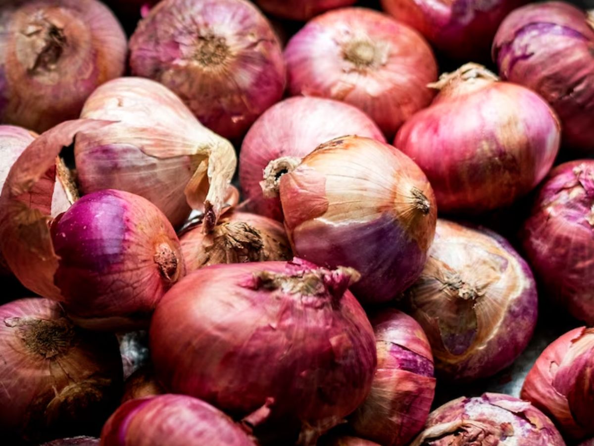 प्याज गोदाम से कमाई का मौका! सरकार दे रही ₹4.50 लाख का अनुदान, जानें कौन उठा सकता है फायदा