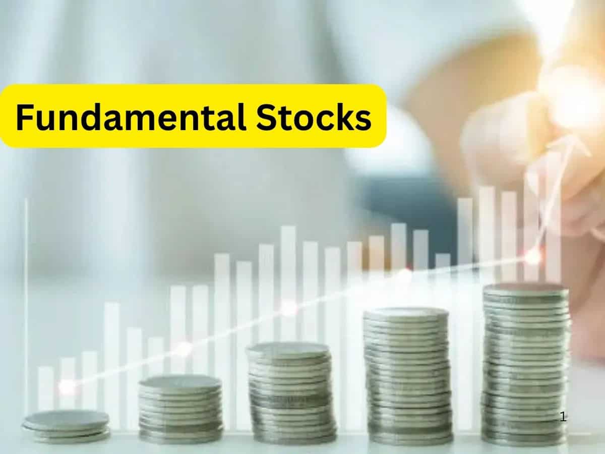 2 Fundamental Stocks जो चमका सकते हैं आपका पोर्टफोलियो, नोट कर लें नाम और टारगेट