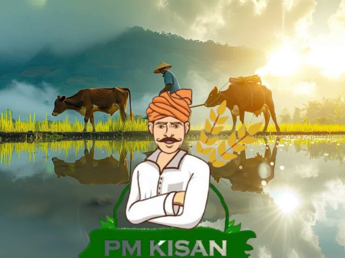 PM Kisan Yojana: जून लास्ट या फिर जुलाई, कब आएगी पीएम किसान की अगली किस्त? यूं चेक करें अपना स्टेट्स