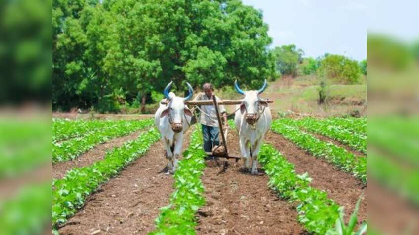 पीएम किसान योजना