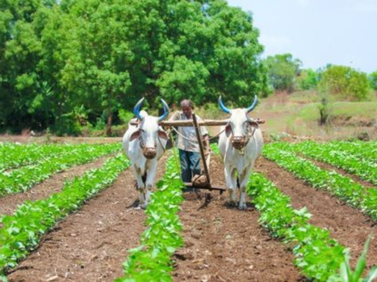 पीएम किसान योजना