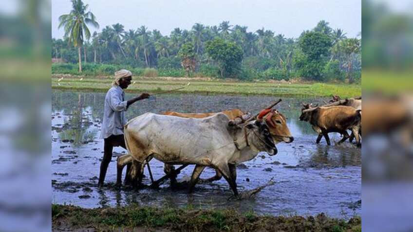 किसानों को मिलती है आर्थिक मदद