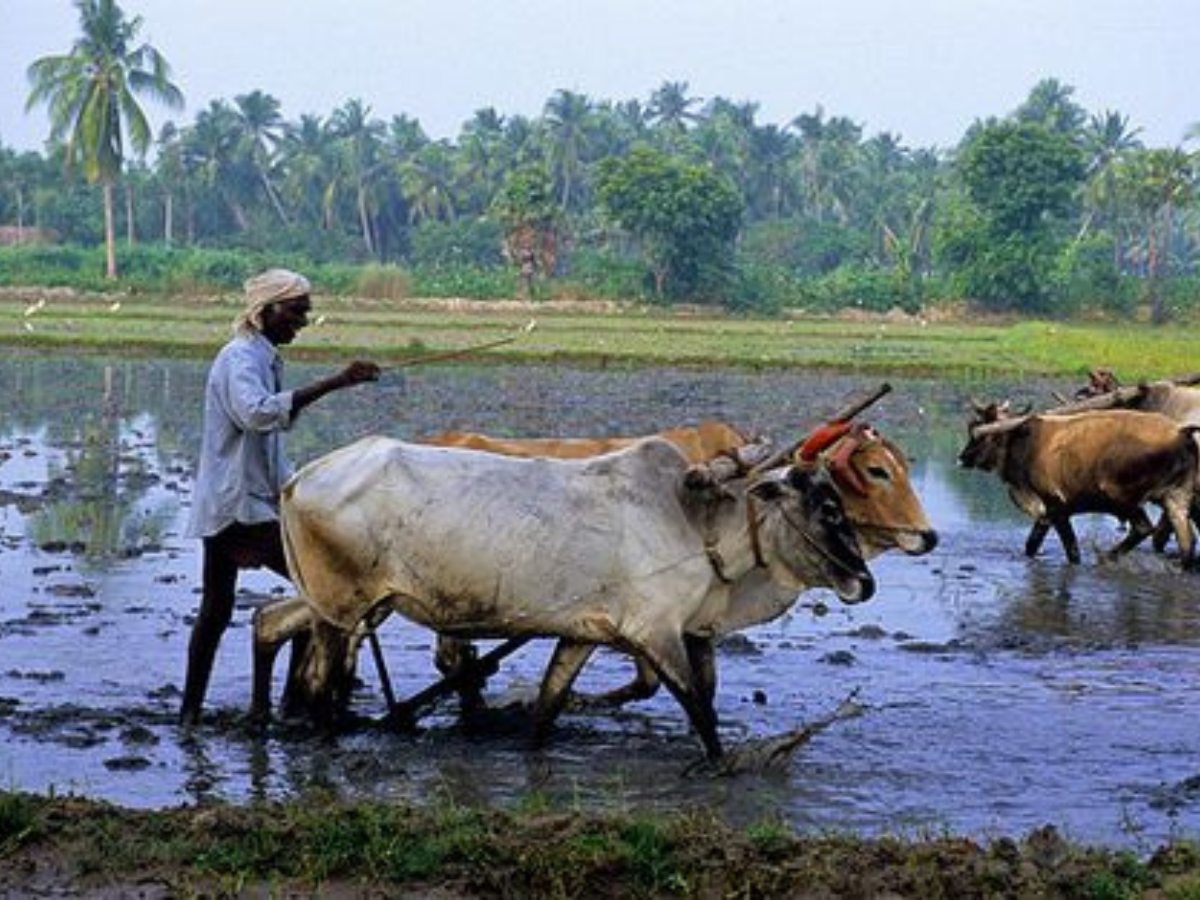 किसानों को मिलती है आर्थिक मदद