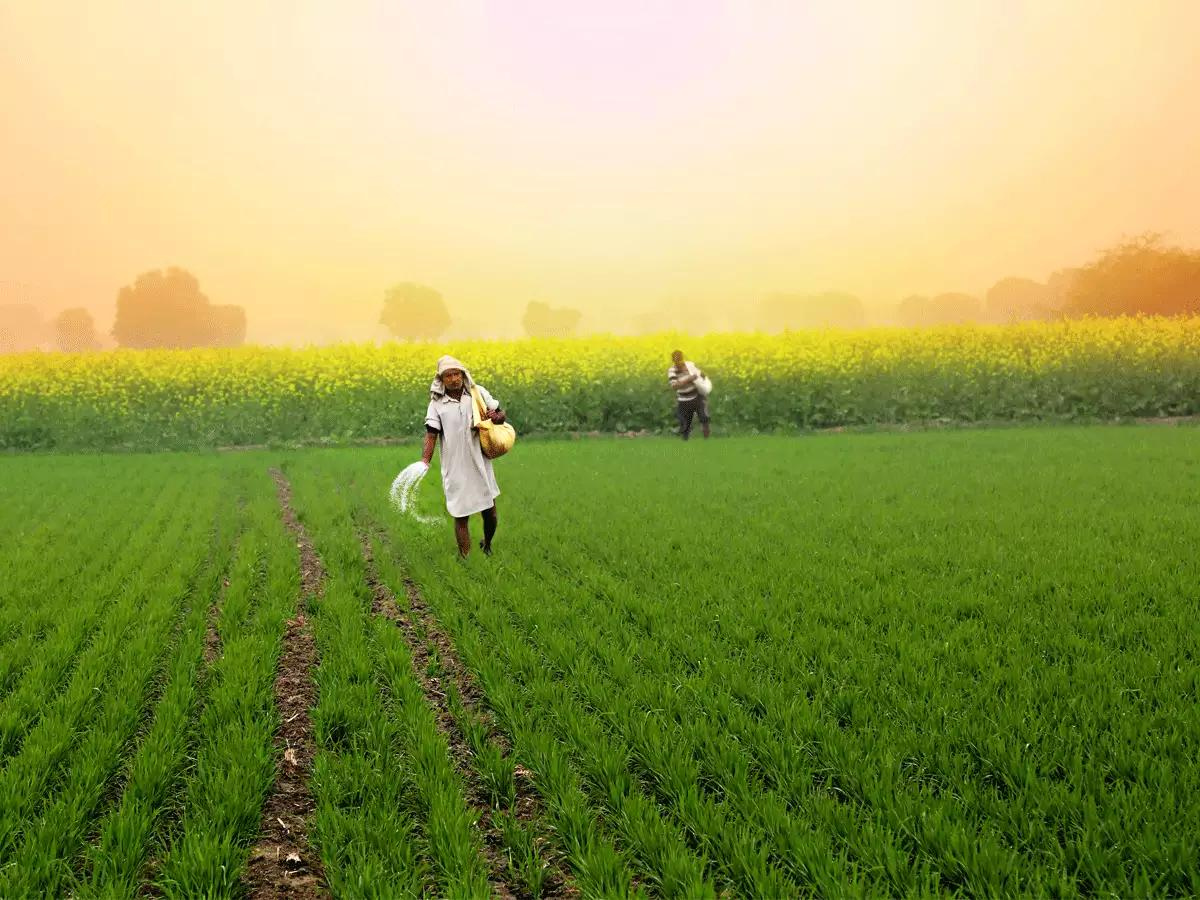 20वीं किस्त का है इंतजार