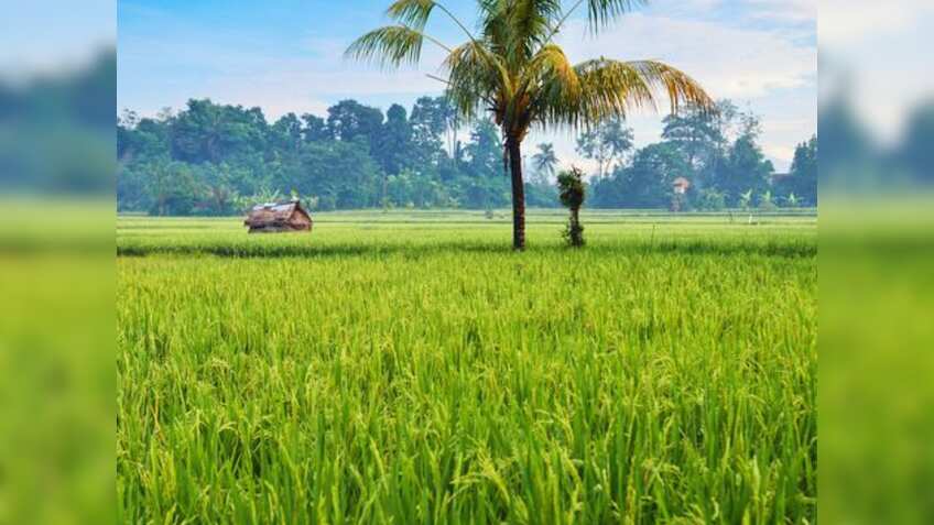 कब आएगी 20वीं किस्त