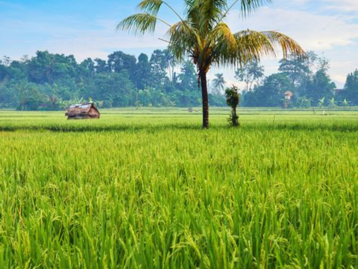 कब आएगी 20वीं किस्त