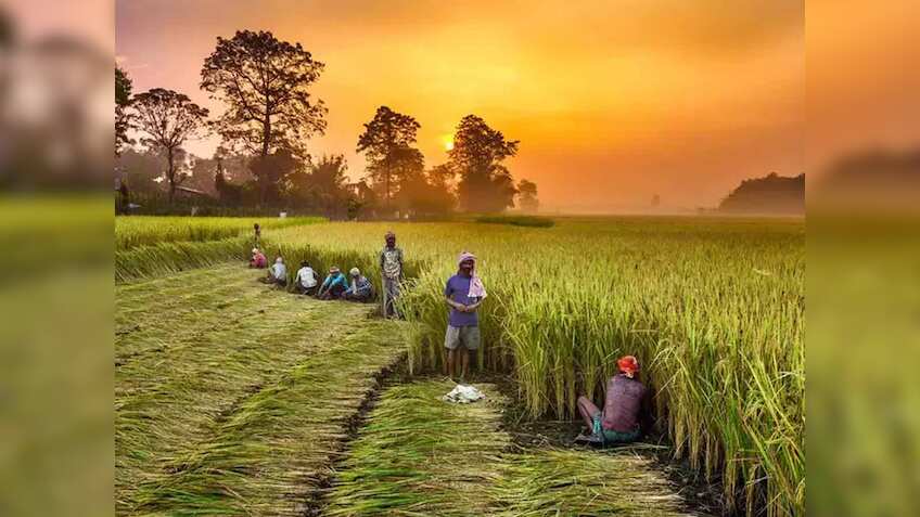 किसानों की हुई बल्ले-बल्ले! हल खरीदो या ट्रैक्टर,यहां सरकार दे रही बंपर सब्सिडी, जानिए कैसे उठाएं लाभ