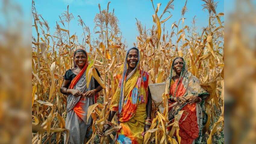 इन सरकारी योजनाओं ने बदली देश के 50 लाख से ज्यादा श्रमिकों की किस्मत! शिक्षा से लेकर स्वास्थ्य पर मिलती है सहायता