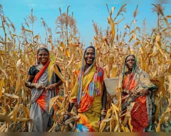 इन सरकारी योजनाओं ने बदली देश के 50 लाख से ज्यादा श्रमिकों की किस्मत! शिक्षा से लेकर स्वास्थ्य पर मिलती है सहायता