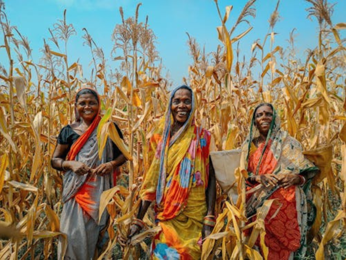 इन सरकारी योजनाओं ने बदली देश के 50 लाख से ज्यादा श्रमिकों की किस्मत! शिक्षा से लेकर स्वास्थ्य पर मिलती है सहायता