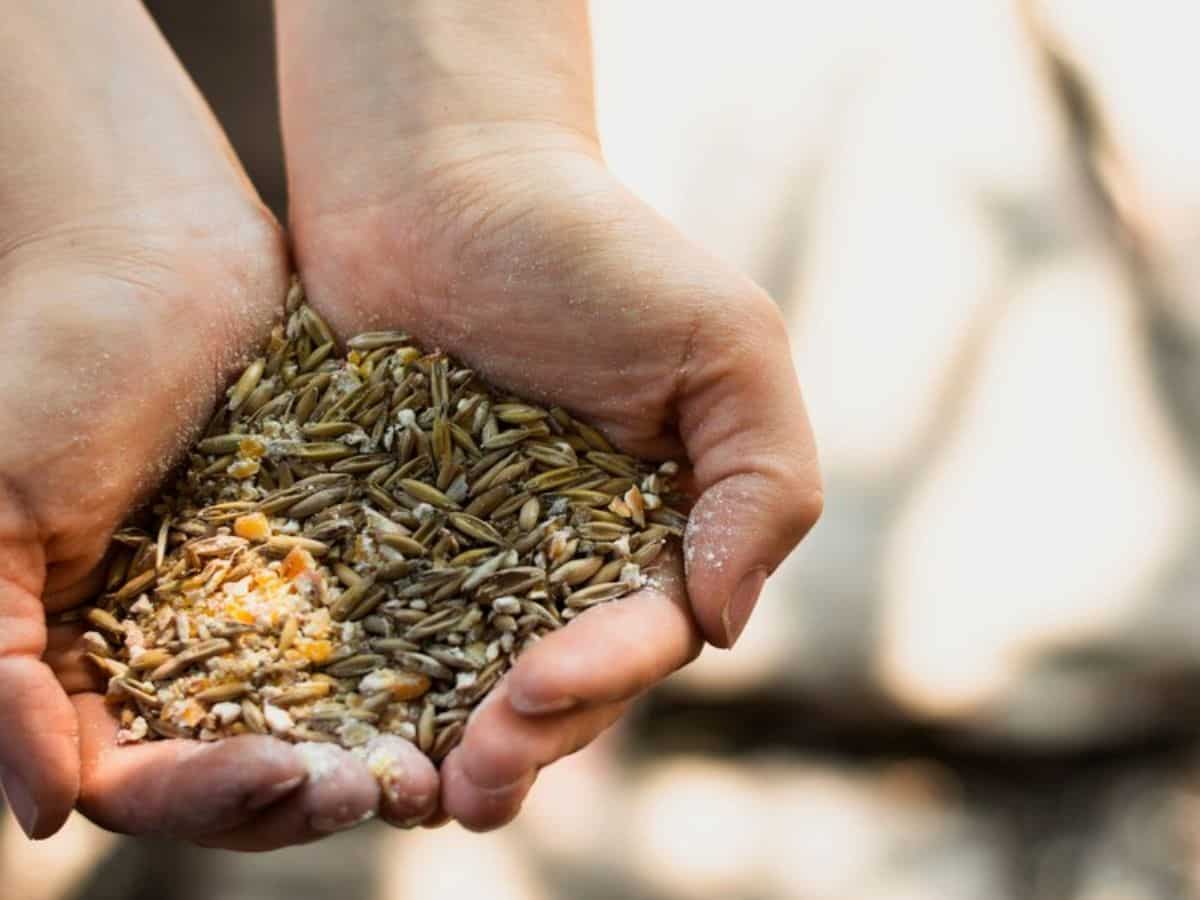 1 रुपये खर्च कर बचाएं 10 रुपये! खरीफ फसल बोने से पहले ये जरूरी काम करें किसान, होगा तगड़ा मुनाफा