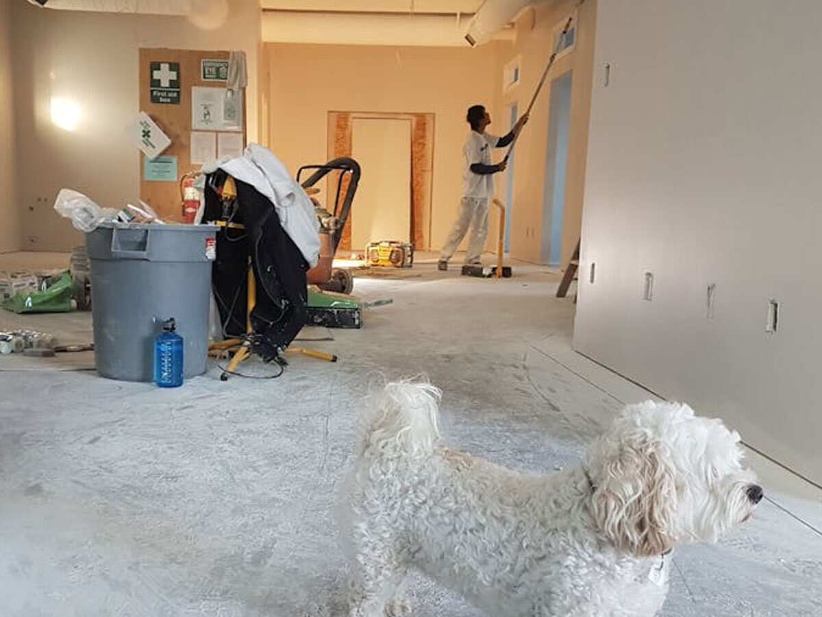 घर की मरम्मत के लिए ले रहे हैं लोन? बैंक तो दे देगा, लेकिन लेने से पहले खुद से जरूर पूछ लें ये 5 सवाल