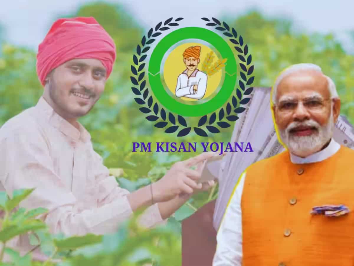 PM Kisan: क्या इस हफ्ते खाते में आ जाएंगे पैसे? आखिर 20वीं किस्त का इंतजार कब होगा खत्म...