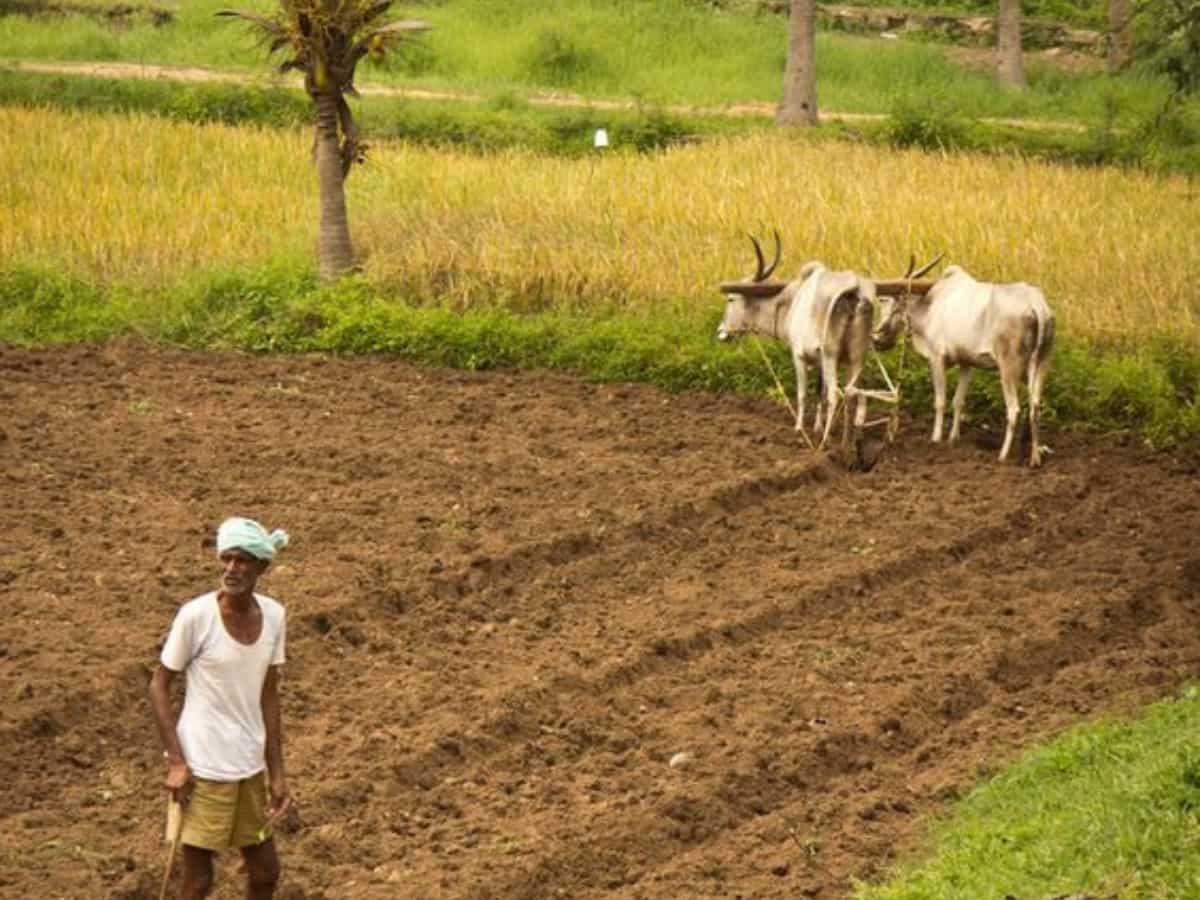 किसानों की बल्ले-बल्ले! इथेनॉल स्कीम ने बदली तकदीर, 11 साल में हुई ₹1.18 लाख करोड़ की एक्स्ट्रा कमाई