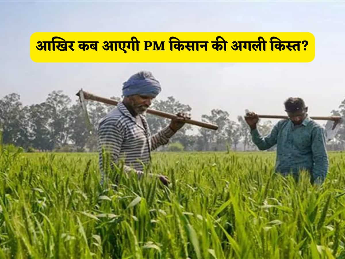 आखिर कब...4 महीने पूरे लेकिन खाते में नहीं आई अभी भी 20वीं किस्त,किसानों को कब मिलेगा PM Kisan की अगली इंस्टालमेंट का तोहफा?