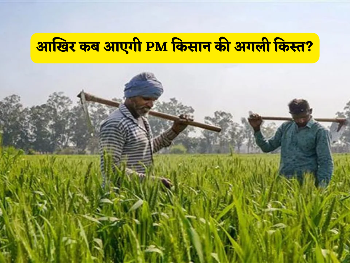 आखिर कब...4 महीने पूरे लेकिन खाते में नहीं आई अभी भी 20वीं किस्त,किसानों को कब मिलेगा PM Kisan की अगली इंस्टालमेंट का तोहफा?