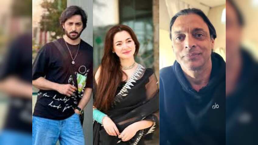 Pakistan के कलाकारों को कोई रियायत नहीं! भारत में एक बार फिर से बैन हुए सोशल मीडिया अकाउंट्स