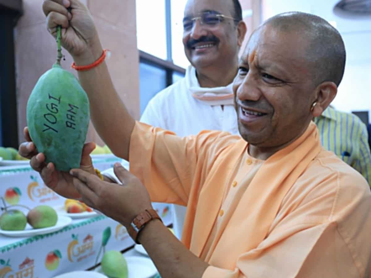 UP Mango Festival 2025: सीएम योगी ने किया आम महोत्सव का उद्घाटन, किसानों को दिए कमाई बढ़ाने के टिप्स